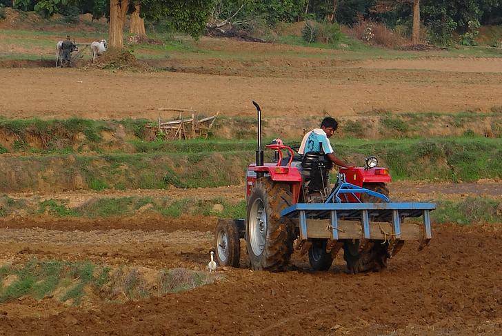 traktor, anakan, membajak, peralatan, pertanian, Karnataka, India