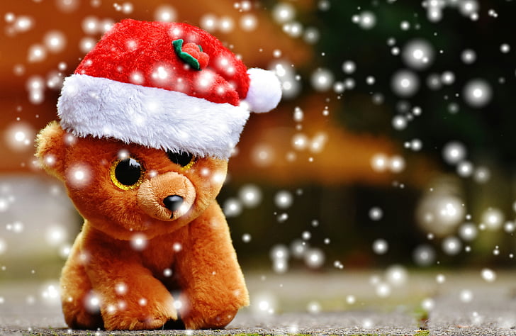 Božić, medo, snijeg, mekana igračka, kapu Djeda Mraza, smiješno