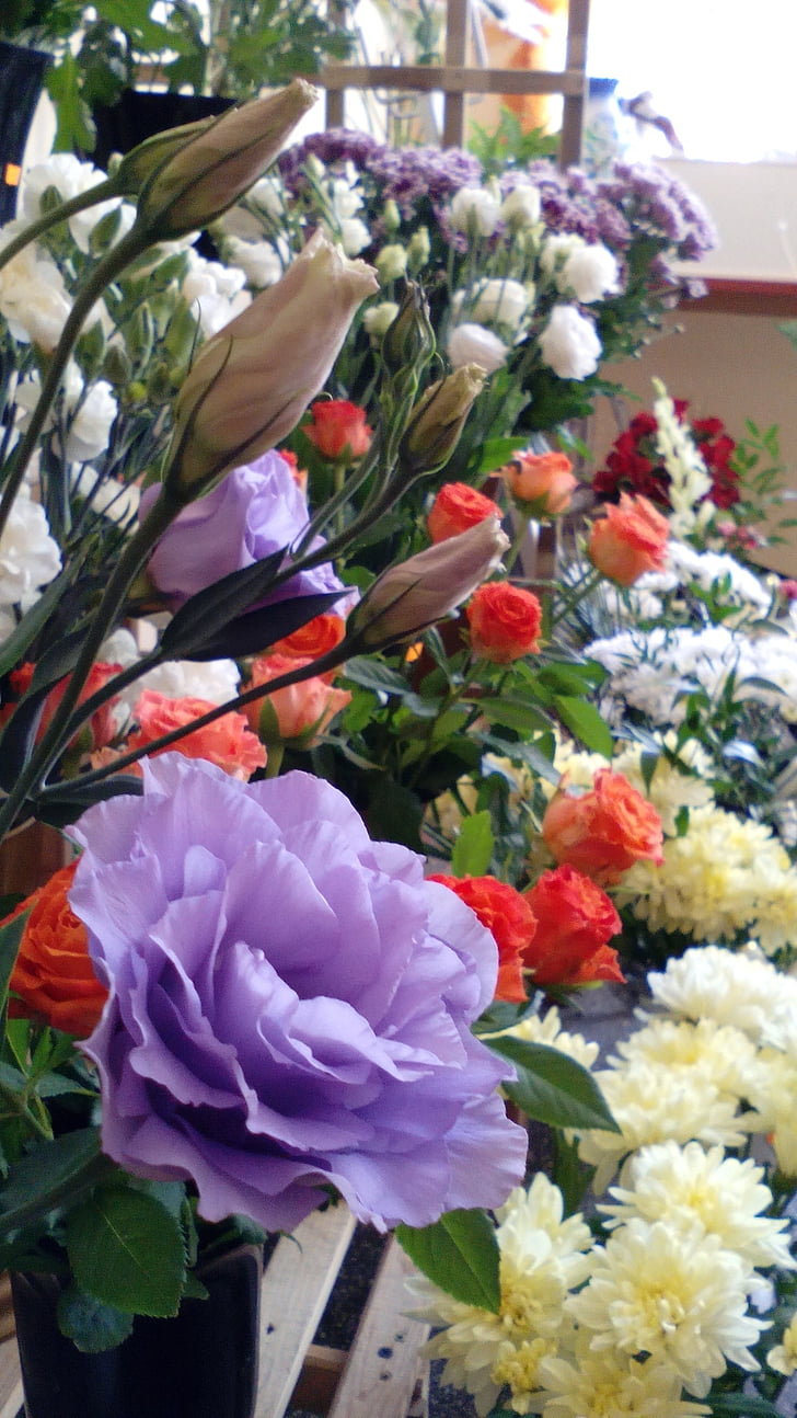 квітковий магазин, квіти, барвистий, свіжі, білий, фіолетовий, рожевий