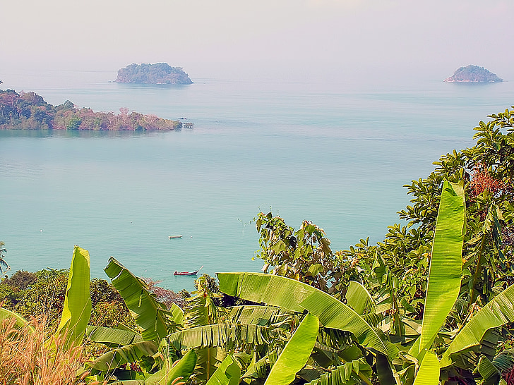 mar, paisagem, barco, Ilha, Tailândia, Ko chang, plantas