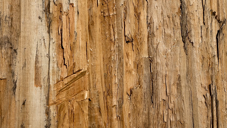 texture, background, wood, grain, bark, chop, layer