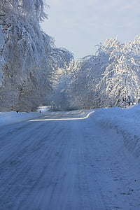 cesti, sneg, Tevtoburškem gozdu, pozimi, bela, modra, drevo