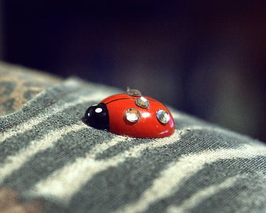 Käfer, künstliche, Dekoration, Textile, kleine, rot, Textur