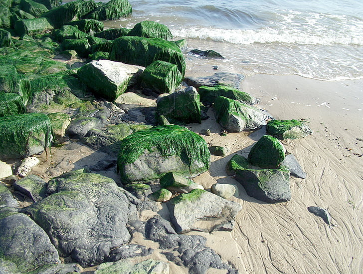 Obala, kamenje, pijesak, vode, more, plaža, priroda