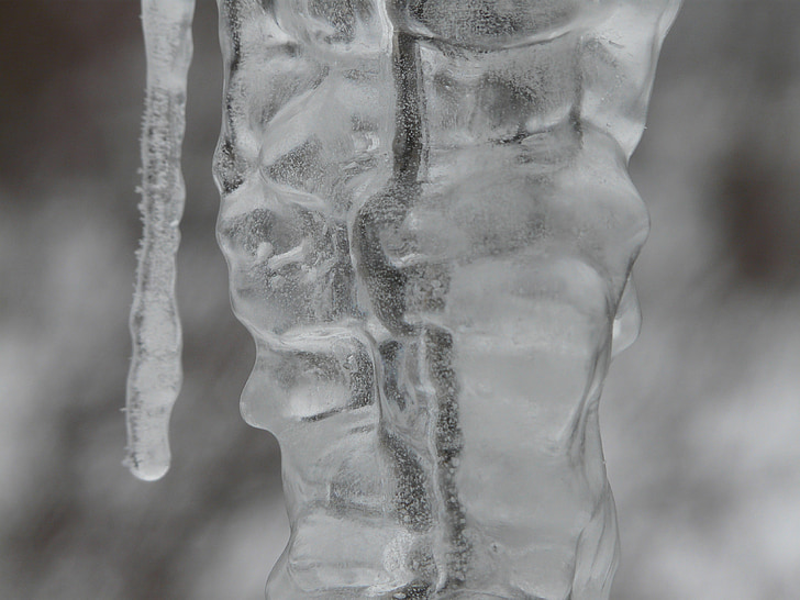 icicle, ice, winter, frozen, cold, icy