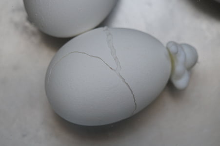 vajcia, Burst, roztrhané, skončila, proteín, biela, varené vajcia
