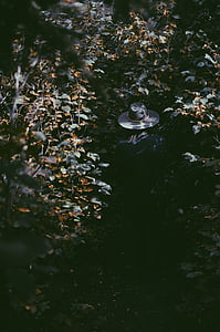 kvinna, svart, klänning, mössa, skogen, kvinna, leafe