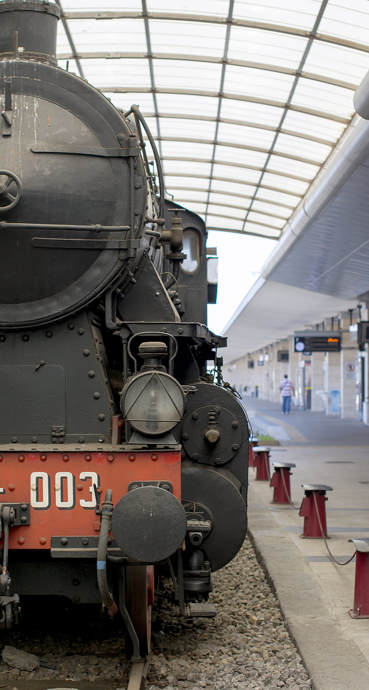 train, locomotive, chemin de fer, exposition, la gare