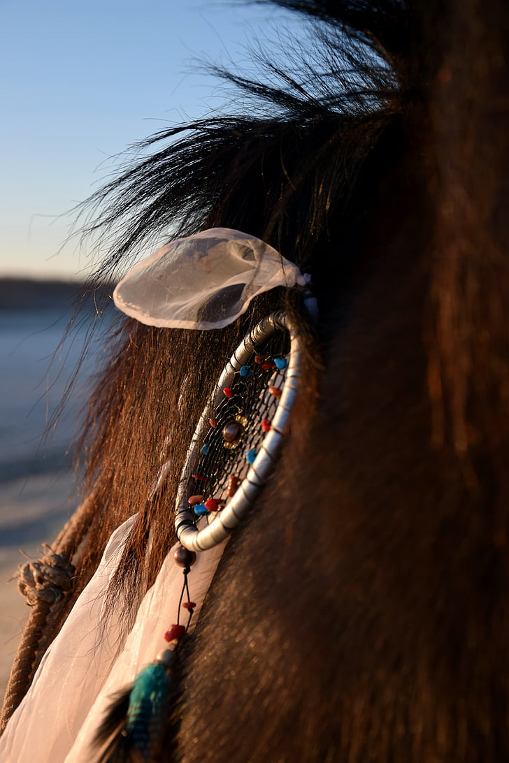 accesorios de caballos, Atrapasueños, Mane, cuello, caballo, marrón, cielo