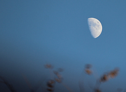 Half moon, mēness, Luna, lode, debesis, vakarā