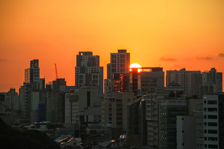 Seoul, saulriets, ēkas, pilsēta, siluets