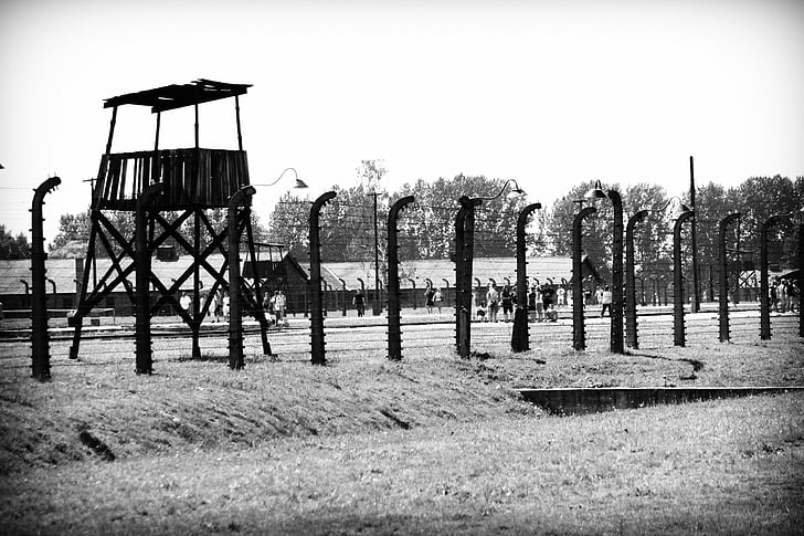 concentration camp, auschwitz, birkenau, vedetta, nazism, jews, fence