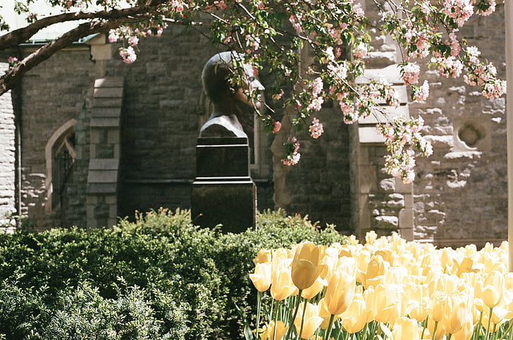 fekete, beton, szobor, mellett, sárga, tulipán, tégla
