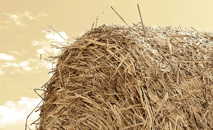 straw role, harvest, straw, agriculture, round bales, field, stubble