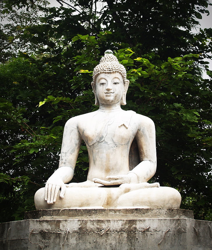Buddha, India, szem előtt tartva, ima, koncepció, buddhista, buddhizmus