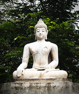 Buddha, Indija, um, Molitva, koncept, budistički, Budizam