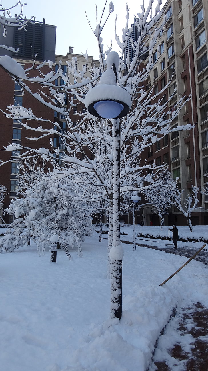 street lamp, community, snow, apartment building, winter, tree