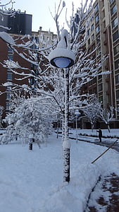 Lámpara de calle, comunidad, nieve, edificio de apartamentos, invierno, árbol