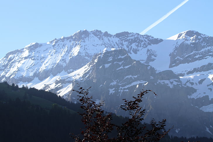 Švicarska, planine, alpski, Panorama, Prikaz, izdaleka, alpska panorama