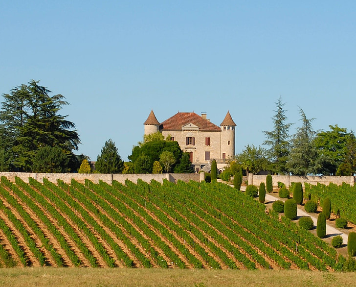 vineyard, chateau, france, agriculture, winery, landscape, grape