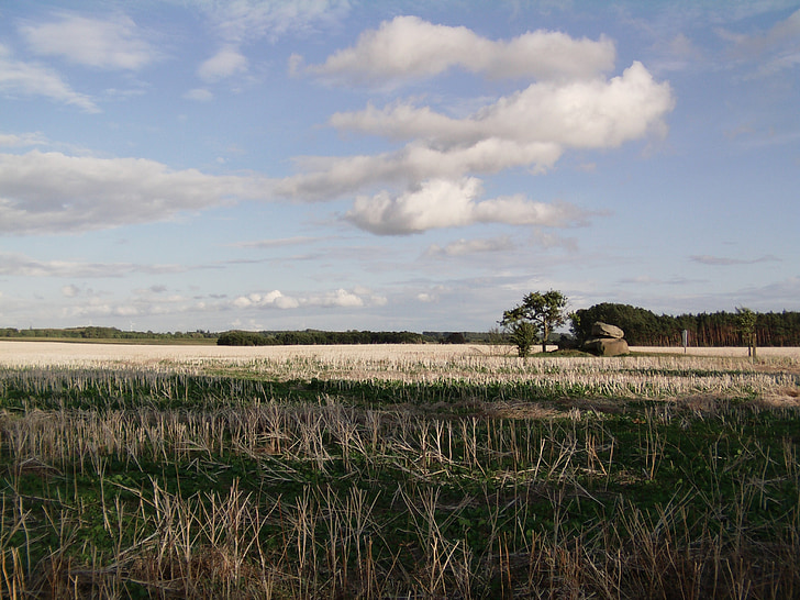 fields, landscape, northern germany