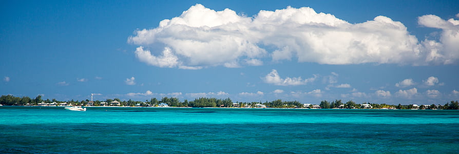 Grand cayman, vand, Ryd, Caraibien, Panorama