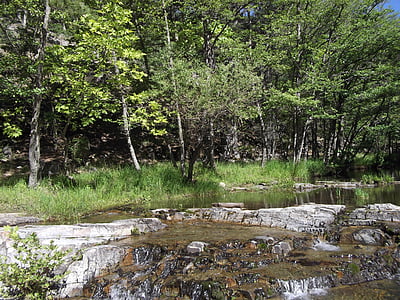 Mount ida, Metsä, puut, Stream, River