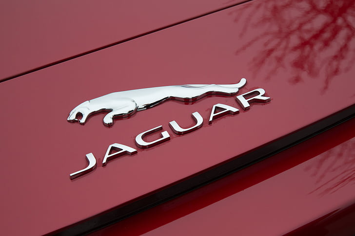 Jaguar, röd, logotyp, f typ