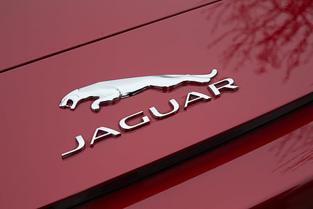 Jaguar, piros, logó, f típus