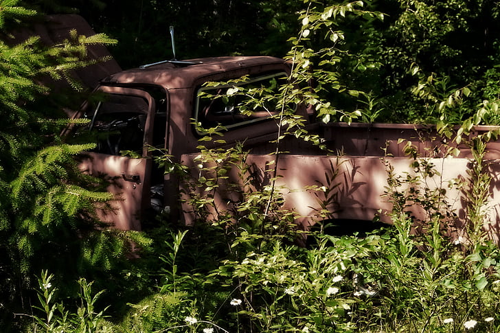 antiguo, camión, oxidado, bosque, coche, vehículo