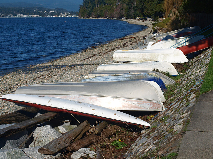 canots, eau, sport, canoë-kayak, Paddle, ensoleillée, bateau