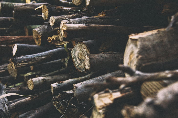 logs, registro em log, madeira, madeira serrada, pilha, silvicultura, woodpile