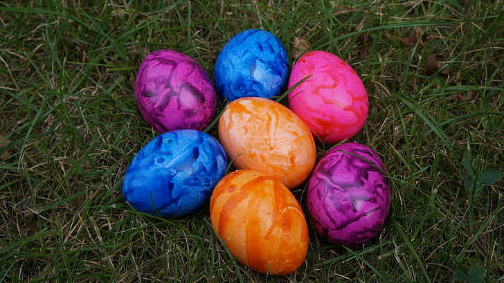 jajce, pisane, Velikonočni, velikonočna jajca, pisane jajca, barva, kuhana jajca