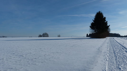Allgäu, Vinter, snø, solen, Panorama, fjell, Zugspitze