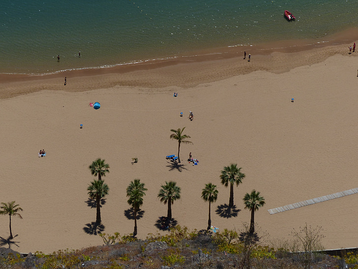 plage de sable, plage, palmiers, Playa las teresitas, Ténérife