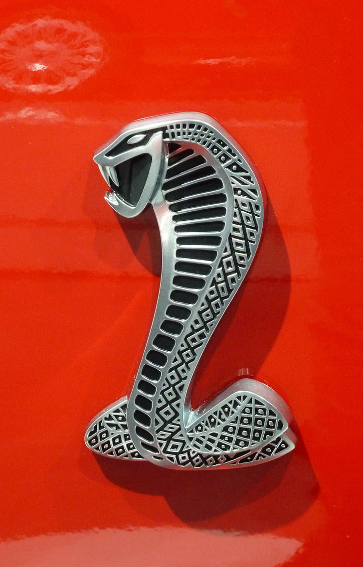 Cobra, logo, bil, amerikanske, ikonet, symbolet