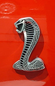 Cobra, logo, bil, amerikansk, ikon, symbol