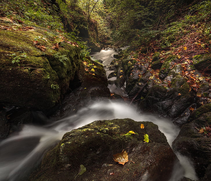 Cascade, Creek, miljø, falder, flow, skov, landskab