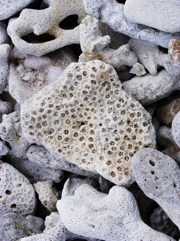 piedra, natural, Playa