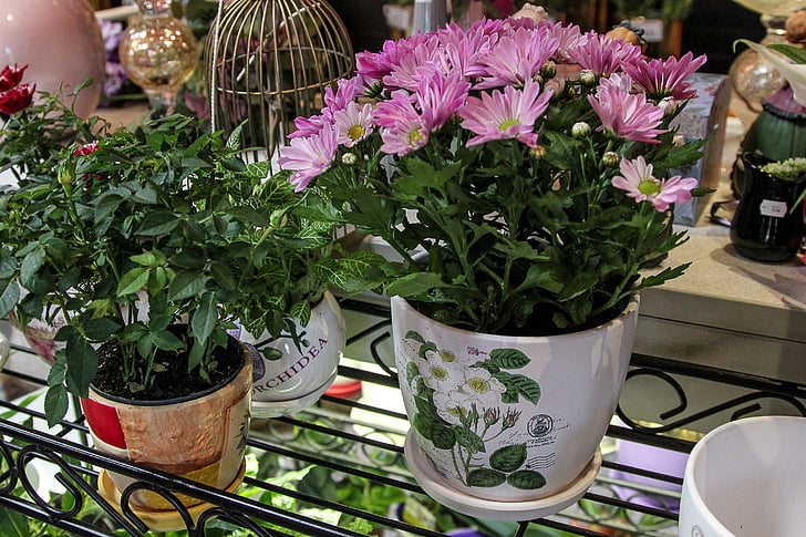 flowers, pots, plants, gifts, greens, jewelry, design