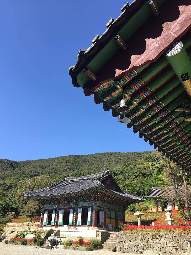 Příroda, Buddha, kamenné schody, jeollanam-do, cestování, songgwangsa, Buddhismus