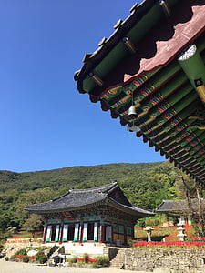 자연, 부처님, 돌 계단, 전라남도, 여행, songgwangsa, 불교
