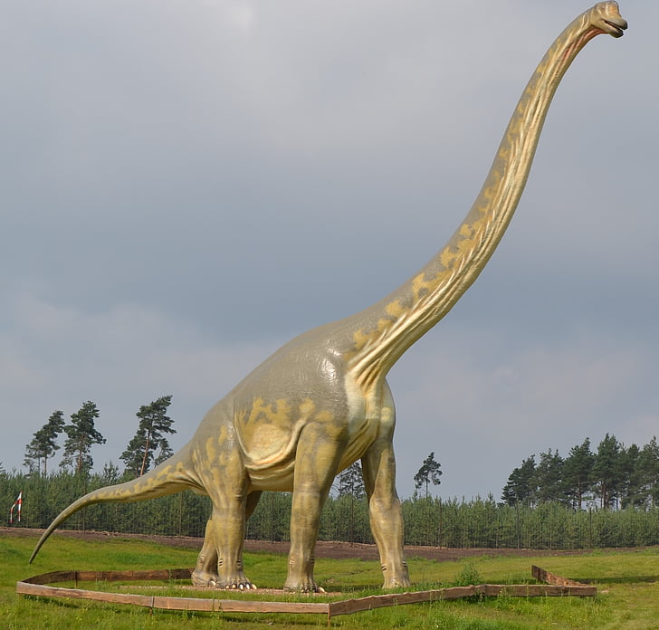 dinosaure, Brontosaurus, sauròpodes, apatosaure, Parc temàtic, Prehistòria