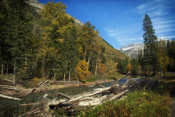 Montana, táj, festői, évszakok, őszi, ősz, Sky