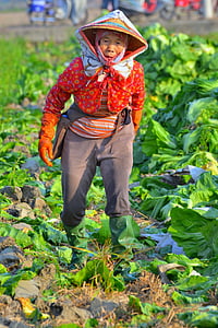 humanities, cultivate, rural, old, lady, woman, worker