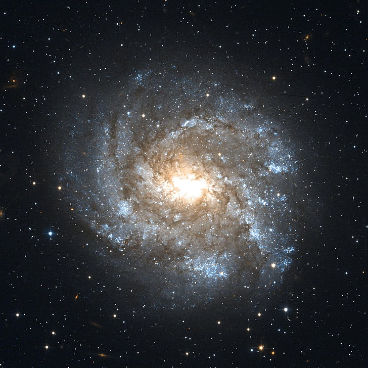 NGC 2082, çubuklu sarmal gökada, Constellation schwertfisch, gökada, yıldızlı gökyüzü, Uzay, Evren
