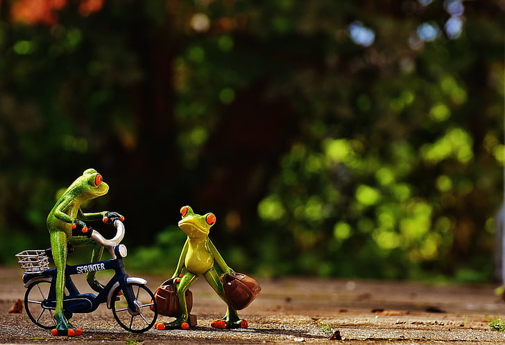 frogs, arrive, bike, holdall, travel, cute, frog