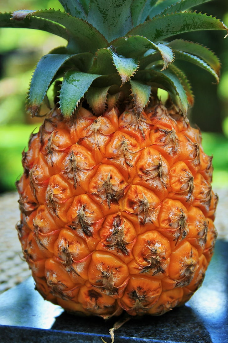 fruit, pineapple, skin, yellow, rough, diamond pattern, tropical