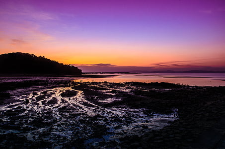 sunset, the sea, violet, sky, water, gold, light