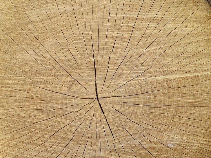 arbre, llesca, textura, barres asimètriques